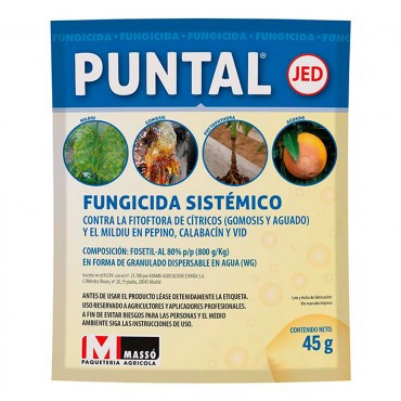 Puntal 45