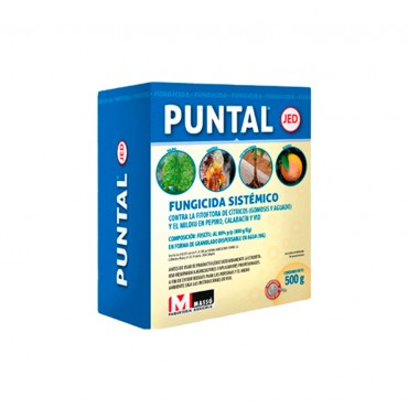 Puntal 500